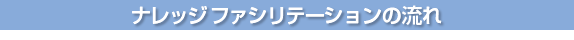 ナレッジファシリテーションの流れ