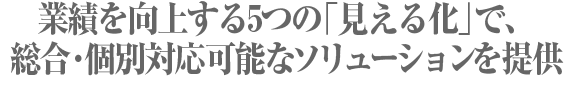 業績を向上する５つの「見える化」で、総合・個別対応可能なサービスを提供