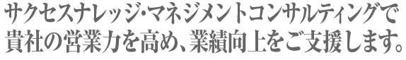 サクセスナレッジ・マネジメントコンサルティング